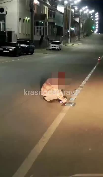 �����?. ������� � ������������� �� �������� ��������� �� ������ �������� �����