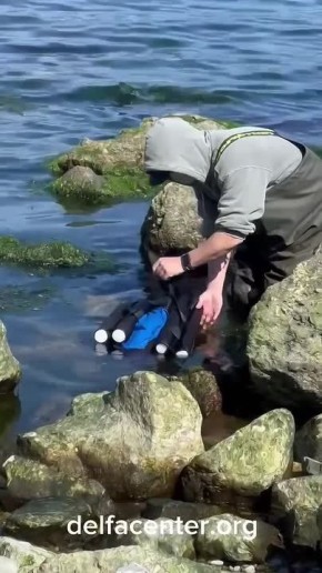 �������, �������� ������� ��������� � �������������, ����� � ��������� ��������