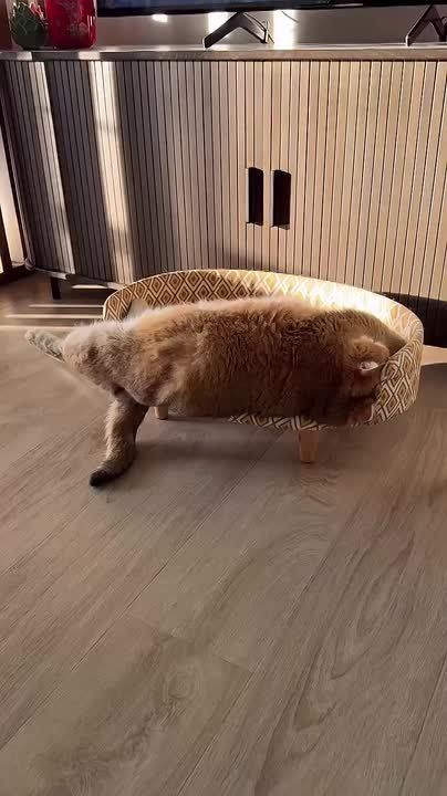 ������ �������� � ��������� ������ � �������� �����
