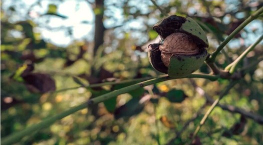 ������� �����: ���������� �������� �������� � �������