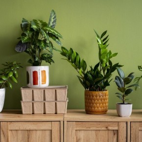 �������� ������: ���� � ������ ��� ������������ ���������