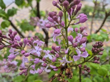 ������ ��������. �������� ������ � ����� �������� ��� ��� ���, � ������� ������ ������� ���� ���������