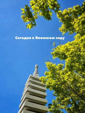 ���������� ���������� � �������� ���� ����������