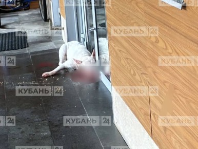 ����������� ������ ������ �� ����� � ����: �� ����������