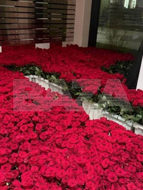 ����� ������� ��������� � �����: ������� ��� ���������� ����� 70 ��� ������ �������� � ���������� �� � ��������