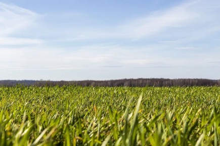 ������� ������ ��������� ��� ��������, ������������, ����������� ���� � ������ ���������