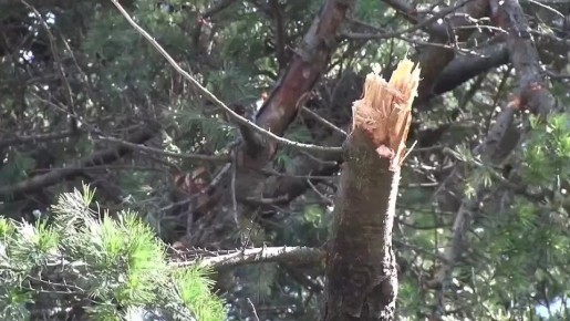 � ������ ��������� ����������� ����� ����, ������������ � ���� �� 20 ������