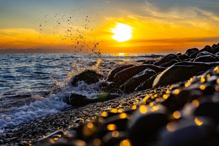 ��� ������ ����� � ����������� ��������� �� ����� 97 ����