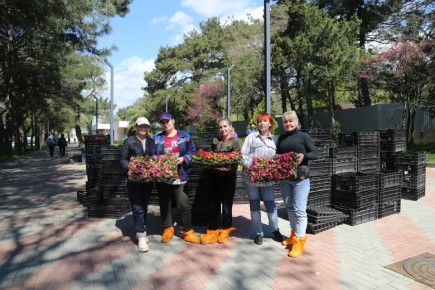 � ���������� ���������� � ������� ������ ������