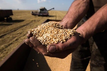 ����� �� ����� ����� �� ������� ���� �������� 13 ����������� �������������� ���� �������� ����� �� ������� �������, �������, ������ � �������� �� ������� ������������ �������������� ����� � ������ � 15 ������� �� 30 ����...