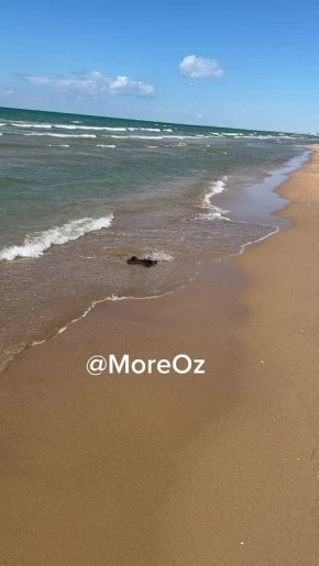 ������� �������. �� ����� � ����� �������� �����