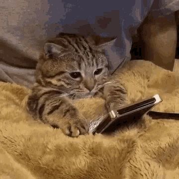 � ������� ���������� ������� ������ ������ VPN�