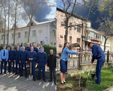 ����������� ������ �������� ������� �� ���� ������� �� ���� ����