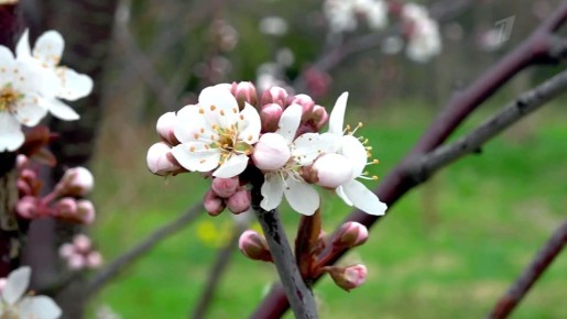 ����� �������� � ���� ����� � ������� ������ ������!