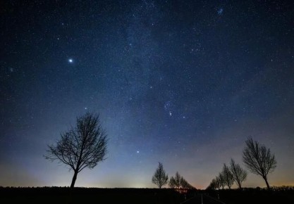 ���� �����������, � �������� ������� ����������� ������ �� �������