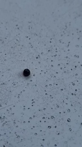 ��������� ��������: ������� ������ ����� ����� ����� �� ������