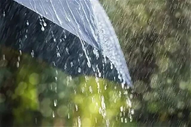 � ���� � ��������� ����� ��������� ������� �����
