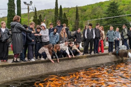 � ������ ������� ���������� ������������ ��������� ��������� �������� ��������������� �����