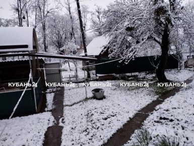 � ����� ������������: �� ������ ����� ����