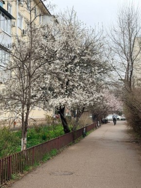 � ������ �� 23 ������ . � ������������� ���� ���������� ����������