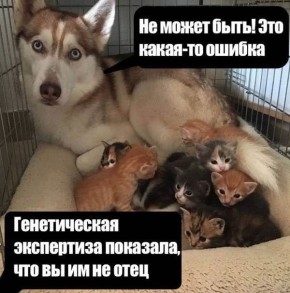 ���� �� ��������� ����� � ������� ���������� �������� �������