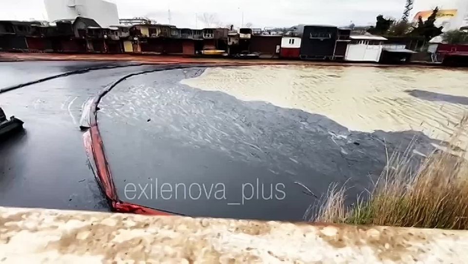 � ������ ����� ����� � ���� �����