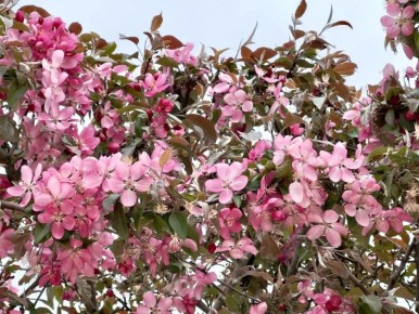 ������� ����������� ����� ������������ ������� ���� ��������� � ���������� ��� ���� �� ������ ���� ��� ������������