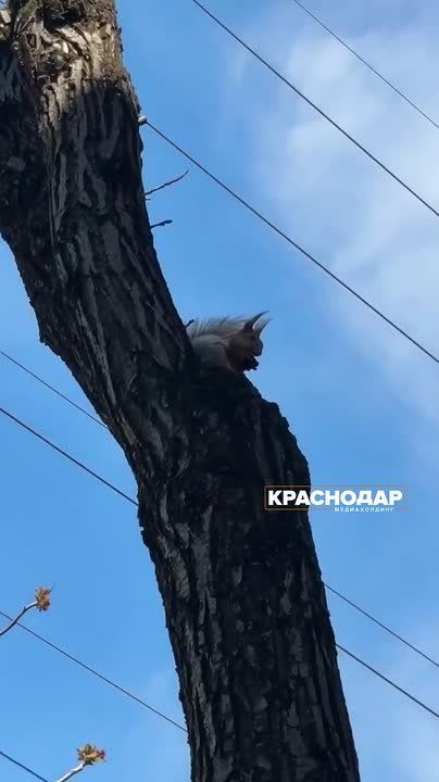 ����� � ������ ���������� �� ������ ������ ����