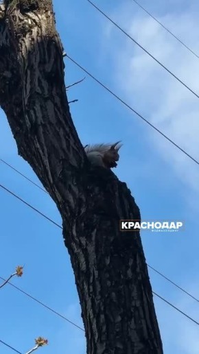 ����� � ������ ���������� �� ������ ������ ����