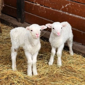 � ������ �� 25 ������. � ������������� ���� �������, ������� ����� � ����