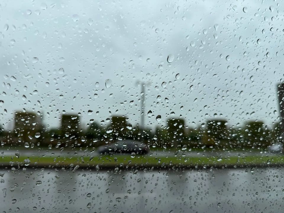 ��� ���� ��������� �������