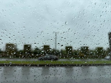 ��� ���� ��������� �������