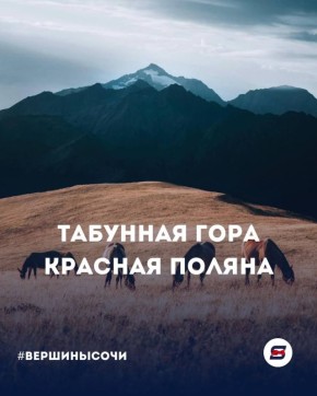 �������� ����: ����� ������ � �������������� ���� �� 2351 �����!