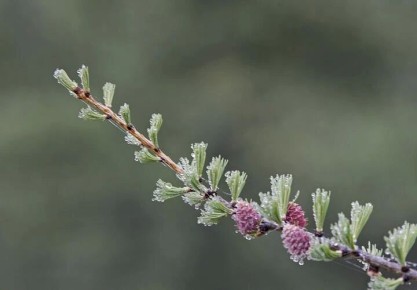 ��������� ������������ ��������� � ������������� ����