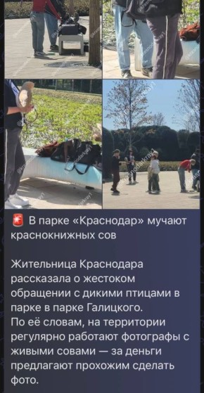 �� ��������� ���������� � ���� �������� ���������� �������� ������ ���������� ������������ ���������� ��������, ��������������� ��� �������������� ���������