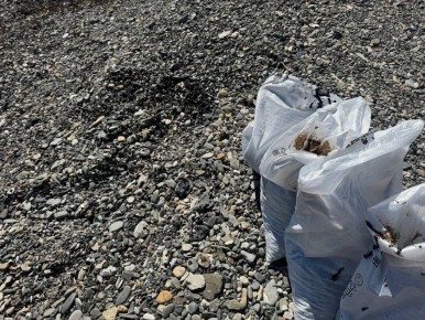 � ������ ������� ������ 3 ����� ���������� ������������� ������ ����� ������� �����