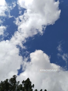 ���������� ���� ���������� ������� �����������