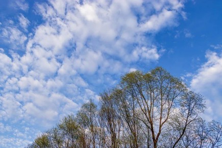 ��� ������������ ����� ��� ��������� ����