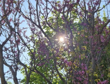 ����� 25, ������� � 13: ��� � ������� � ����������