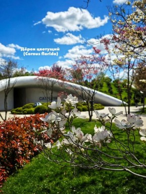 ������� ��� ������ ������ � ����� ���������