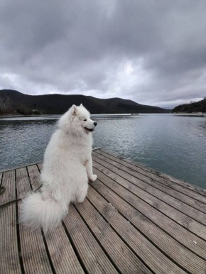 ������ � ������������� ���� �� �������: