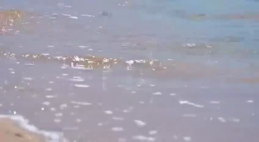 ���� � ������������� ����� ������, �� �� ��������� ������ ���������������