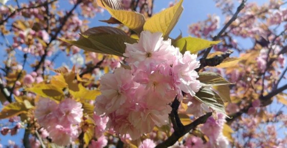 ������ ����, ������� �����!