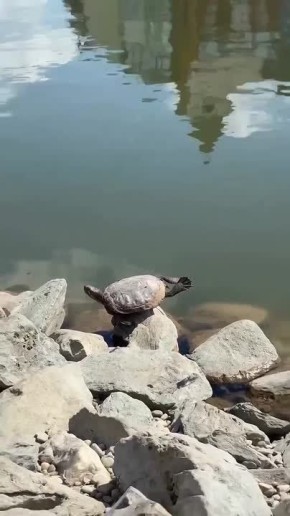 ��� ��� ��������� �� �������� ������� �������� ��������� �������� � �����, ������� ��� ������� ��������