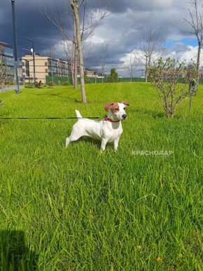 ���������� ���� ���������� ������� �����������