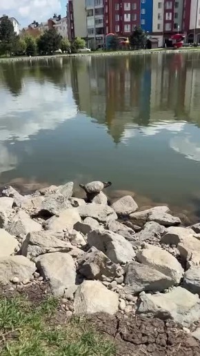 ������� �� � ����� �������