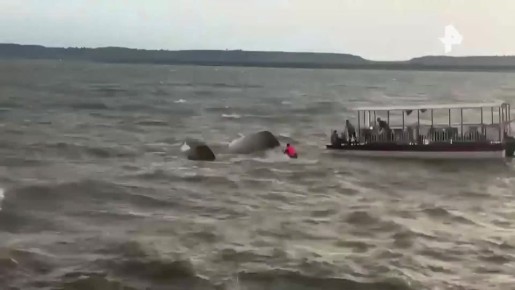 � ����� ������� ����� � ���������, �� ����� ������� ���� 29 ����������, � ����� ������� �������