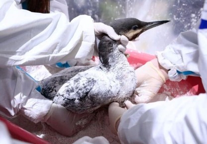 ������� ������� �� �������������� ���� ������ ������� ������� ���������� ��������� � �����