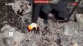 "��� ������, �� ���� ��������� ��� ������ ������������": ������� �������������� ������ ������� � ������ ��-�� ������������ ������, ������� �� "�����" ��������� ������ ���������