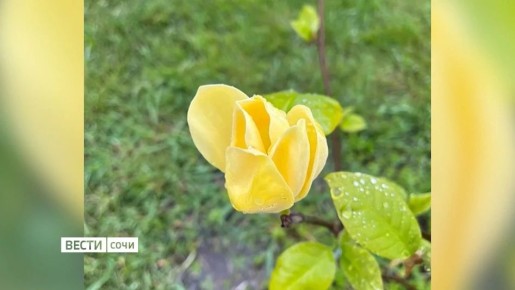 � ��������� ��������� ������� ����������� ��������